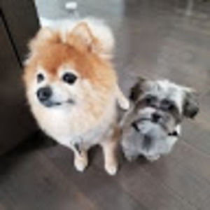 Meet your Posher, Beverly